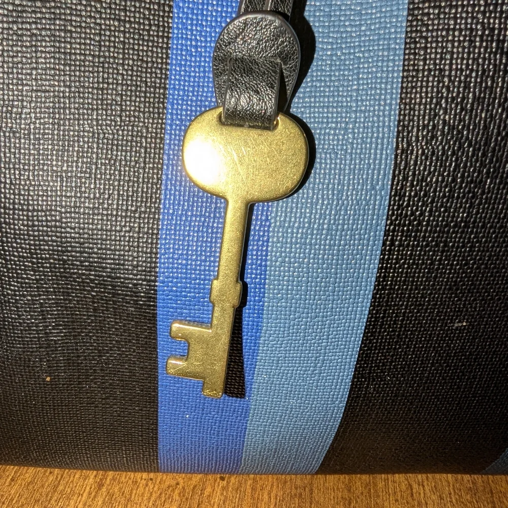 Black and blue‎ fossil